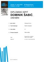 Dominik Šabić, udaraljke : diplomski ispit - program