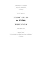 Puccini: La boheme, analiza djela