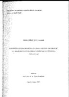 prikaz prve stranice dokumenta Rukopisna notna knjižica Julijane Erdödy Drašković: od arhivskog izvora do izvedbenog materijala